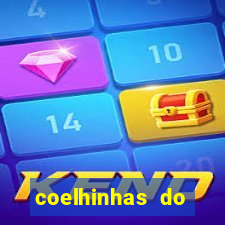 coelhinhas do brasil site