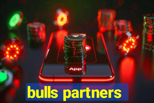 bulls partners