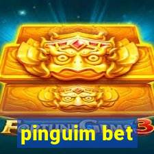 pinguim bet