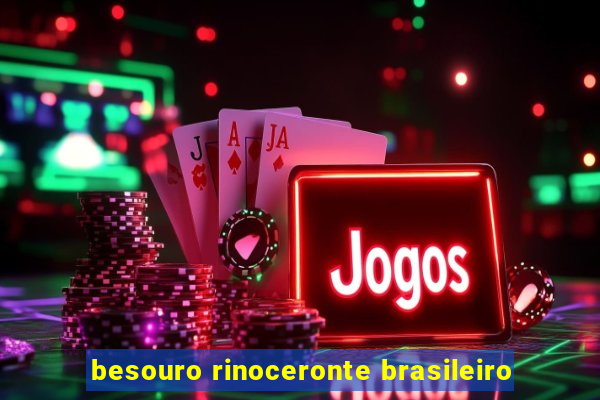 besouro rinoceronte brasileiro