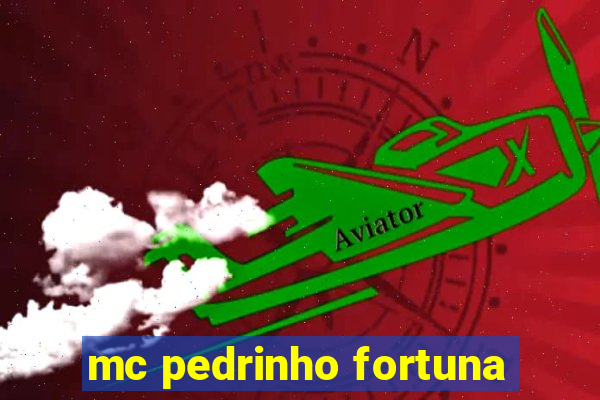 mc pedrinho fortuna