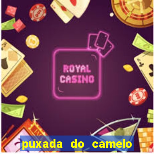 puxada do camelo jogo do bicho