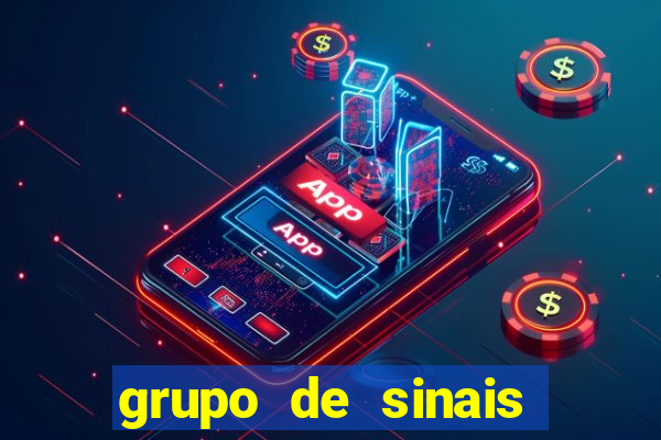 grupo de sinais fortune rabbit