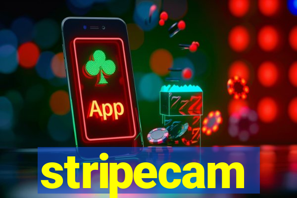 stripecam